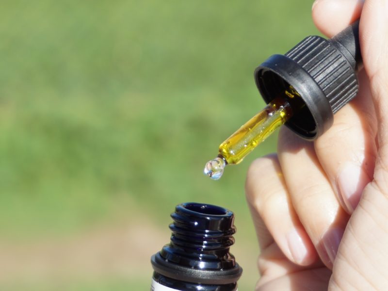 Can You Eat Cannabis Oil? Exploring Its Benefits and Safety