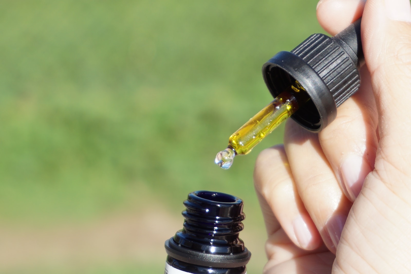 Can You Eat Cannabis Oil? Exploring Its Benefits and Safety